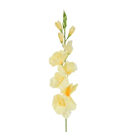 Gladiolus– vetvička 77 cm K321